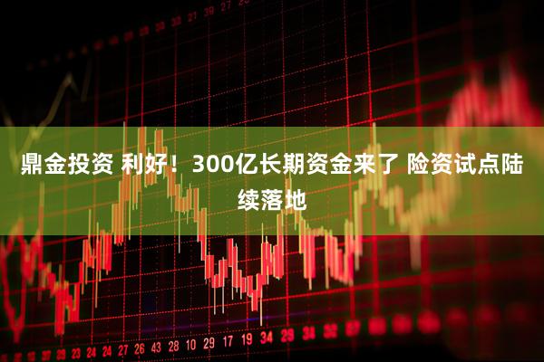 鼎金投资 利好！300亿长期资金来了 险资试点陆续落地