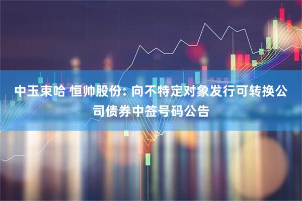 中玉束哈 恒帅股份: 向不特定对象发行可转换公司债券中签号码公告
