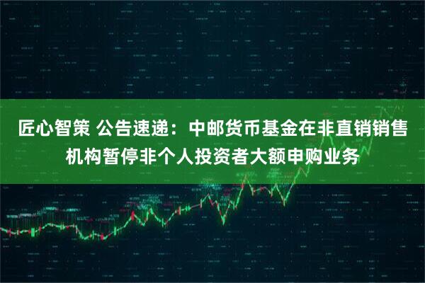 匠心智策 公告速递：中邮货币基金在非直销销售机构暂停非个人投资者大额申购业务