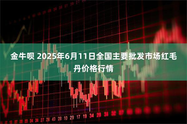 金牛呗 2025年6月11日全国主要批发市场红毛丹价格行情