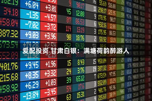 爱配投资 甘肃白银：满塘荷韵醉游人