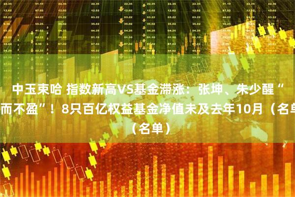 中玉束哈 指数新高VS基金滞涨：张坤、朱少醒“赚而不盈”！8只百亿权益基金净值未及去年10月（名单）