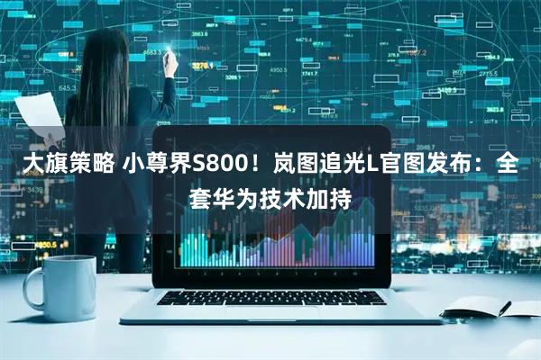 大旗策略 小尊界S800！岚图追光L官图发布：全套华为技术加持