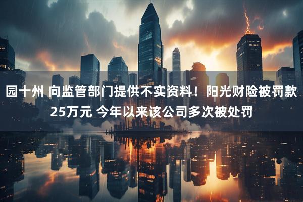 园十州 向监管部门提供不实资料!阳光财险被罚款25万元 今年以来该公司多次被处罚