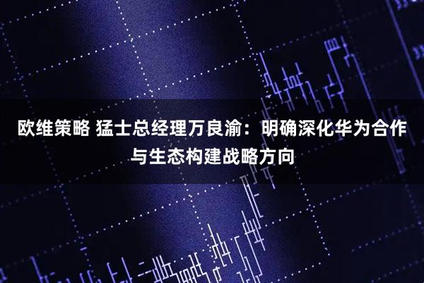 欧维策略 猛士总经理万良渝：明确深化华为合作与生态构建战略方向